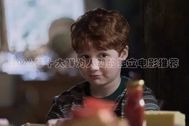 2026年十大鲜为人知的独立电影推荐